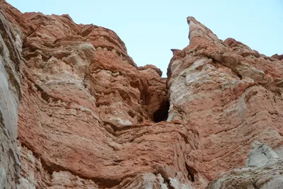 DSC_0279 (Large).JPG